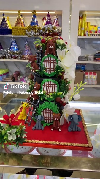 Dolphin Bakers PK on TikTok