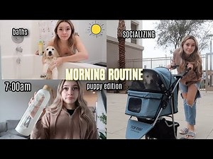 My 7am morning routine with a PUPPY (golden retriever)