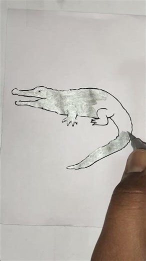 Realistic Crocodile Drawing | Easy Pencil Sketch Step by Step#CrocodileDrawing #PencilSketch #Easy