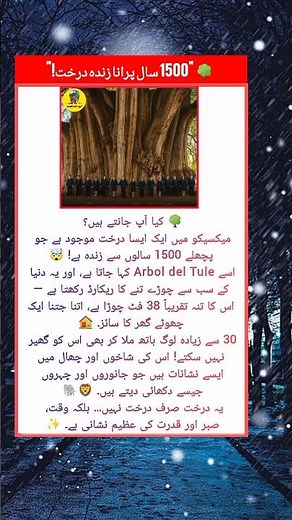 1500-Year-Old Tree in Mexico 🌳 | Arbol del Tule World Record #facts