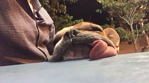 16K views · 2.1K reactions | Southern late-night. | Anson Mount | Facebook