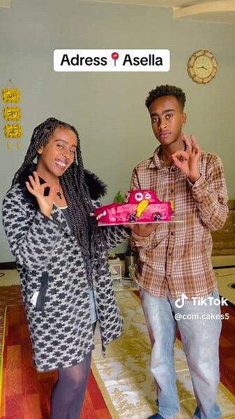 Explore the Vibrant City of Asella