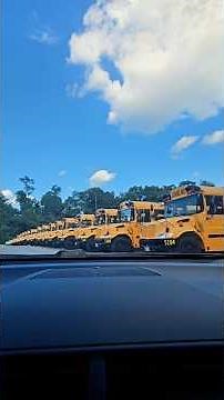 Have you ever seen this many school buses in one place? 🚌🌧️🚸#shorts #youtubeshorts #youtube