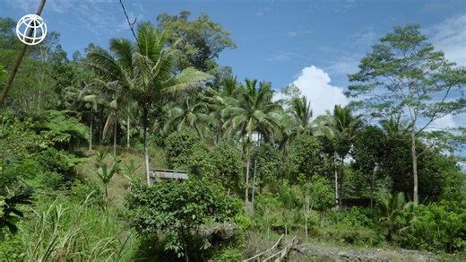 1.2K views · 14 reactions | In the Philippines, agriculture is the...