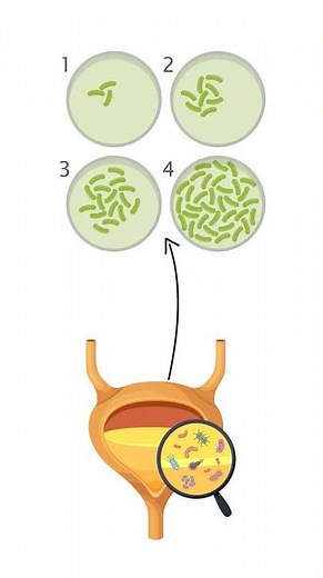 🚫 Urinary Retention: Why You Can’t Fully Empty Your Bladder & How to Fix It!