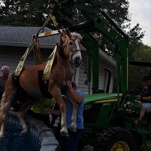 3.1M views · 35K reactions | Must see video: Check out the video of...