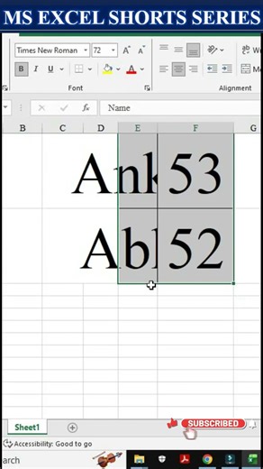 Day-11 | How to Change Font Styize in Excel | Part-5🔥#excel #msexcel #eleganceacademy #excelformula