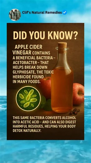 Did you know? 🍎 Apple cider vinegar contains a powerful beneficial bacteria called Acetobacter — the same microorganism that converts alcohol into acetic acid. What most people don’t know is that Acetobacter can also break down glyphosate, one of the most toxic herbicides found in many foods today. By helping to neutralize glyphosate residues, apple cider vinegar may ease the toxic burden on your liver and support natural detoxification pathways. Comment “remedy” below to learn more or visit ou