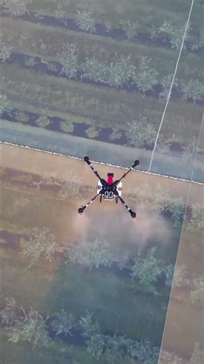 Spraying made simple for Aussie orchards 🫐💦#drone #shorts
