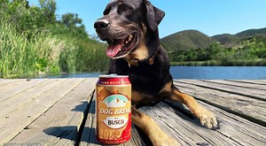 Busch Announces New Beer For Dogs