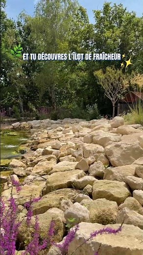 Rdv à l'îlot de fraîcheur, ne nous remerciez pas 😎🌿 #futuroscopexperiences #fraicheur #ete