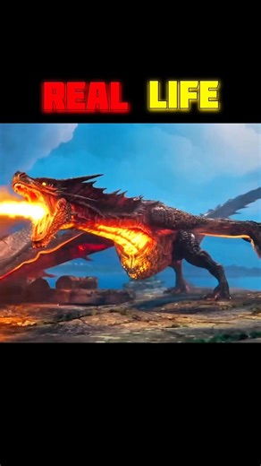 REAL LIFE AND GAME LIFE