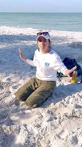 25K views · 285 reactions | Our sea turtle nesting season is in full swing on Sanibel Island! Thanks to the efforts of our friends at SCCF & hundreds of volunteers, baby sea turtles are thriving! Video from @sanibelstar | Periwinkle Park Sanibel | Facebook