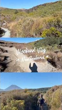 Weekend Vlog in NewZealand🇳🇿 #shorts