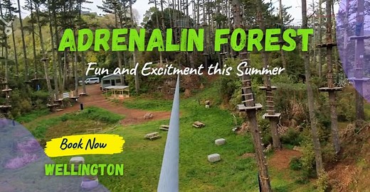 Realise your potential and get your blood pumping at Adrenalin Forest’s multi-level aerial obstacle course. Adrenalin Forest is a great confidence builder and adrenalin rush. | Adrenalin Forest NZ