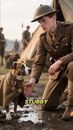 Stubby: The Dog Who Fought in World War I