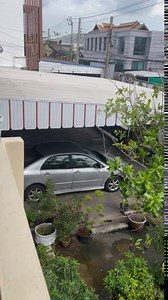 Fish Stick Comber (Big + Standard Bite) - Sugar Glider, Squirrel, Hamster and Small Exotic Pet Treats/Food