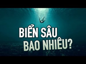 Nơi sâu thẳm dưới đáy đại dương náo nhiệt quá sức tưởng tượng của bạn