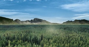 24-hour Time-lapse Concept Forest Landscape Stock Footage Video (100% Royalty-free) 3574825567 | Shutterstock