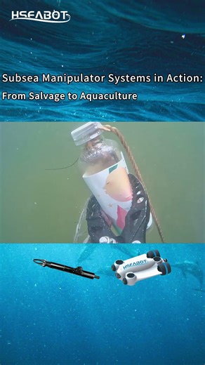Subsea Manipulator Systems in Action: From Salvage to Aquaculture