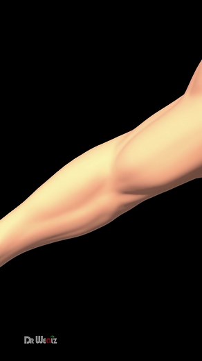 Understanding Dislocated Shoulders: Causes and Effects