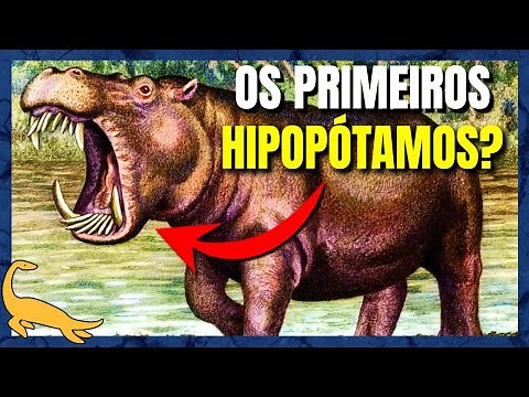 ORIGEM e EVOLUÇÃO dos HIPOPÓTAMOS