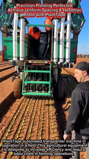 Precision Planting Perfected | Achieve Uniform Spacing & Healthier Roots with PlantTape