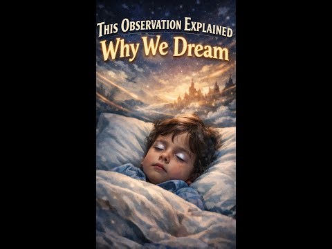 This Observation Explained Why We Dream #Neuroscience