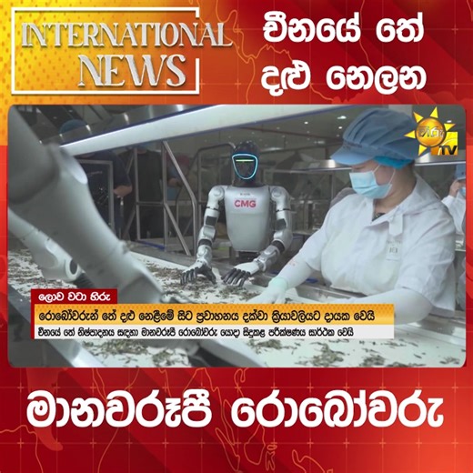 Hiru Sinhala News: Sri Lanka Truth