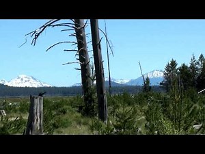 East Davis Lake Campground.mov