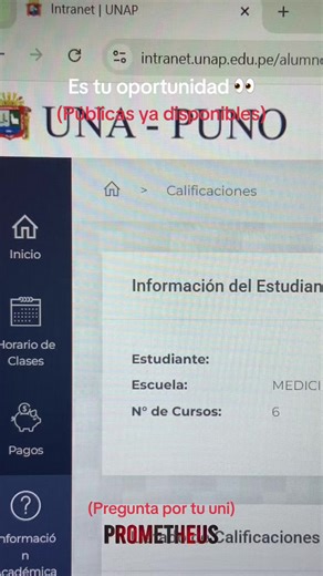 Consulta de Notas y Cursos Universitarios en Perú