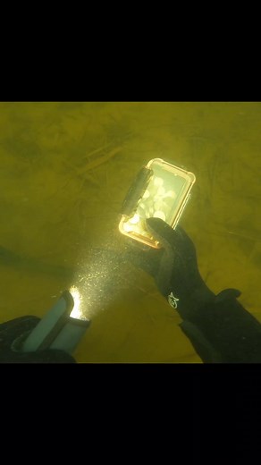 Underwater Metal Detecting for Hidden Coins
