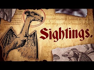 Unexplained Urban Legend Sightings (Explained)