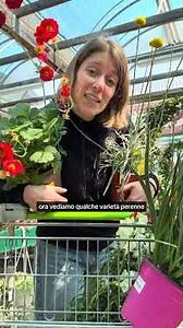 Cut plants for locally sourced bouquets #flowers #plants #gardening #bouquet #verona