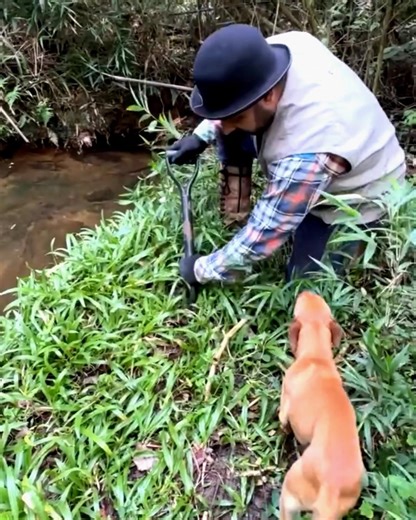 Eles encontrou hidden cam scanner me to make up with #specter #silverspectre 😮#shortsviral