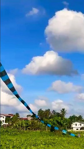 Beautiful snake kite flying | long tail | sri lanka | 2023 | #kitrs# |#kites#kite#kiteday#kiteflying