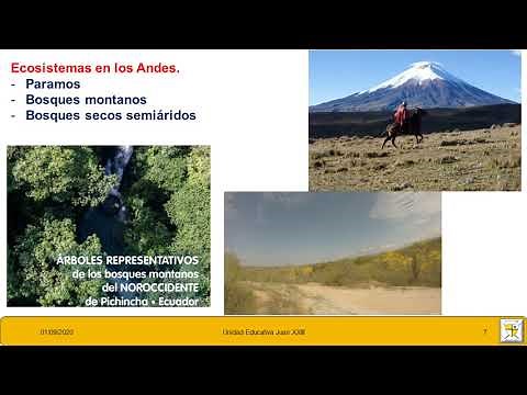 Regiones naturales del Ecuador: ecosistemas - Ciencias