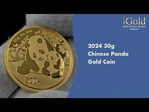 2024 30g Gold Panda Coin