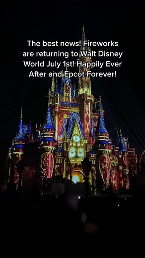 I am so excited! It’s been since March of last year! #waltdisneyworld #happilyeverafter #disneynews #magickingdom #fireworks