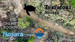 Looking for the best way to travel? Terratour is comfortable and reliable. Shared and private shuttles to Liberia and San José, online booking at Nosara.com | Nosara.com