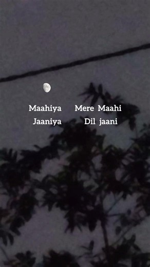 Mahiya mere mahi.....🤌🏻🫠🤍 #lyricvideo #viral #shorts #song #trending #mahiyameremahi
