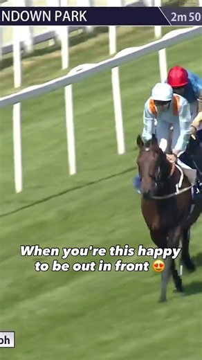 Lazy Griff had his ears pricked and was enjoying every stride at Sandown today ❤️