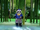 Panda performs 'Dua Lipa's Levitating' song on The Masked Singer