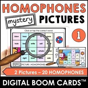 Homophones Boom Cards™ |  Digital Mystery Picture Activity - Homophone Practice