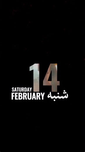 HODA JARRAH on Instagram: "Get @reshare_app • @nufdiran Global Day of Action. February 14th. Stand with the people of Iran ✌🏼❤️ #freeiran #iranrevolution2026 #iranmassacre #kingrezapahlavi #iran"