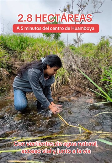 593 99 207 4587 ✅ #moronasantiago #gualaceo_ecuador🇪🇨 #macas #terrenos #migrantes