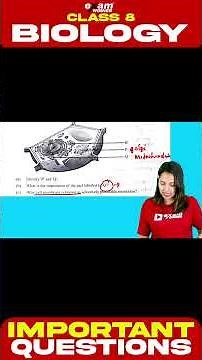 Cell Clusters - Identify the Picture | Class 8 Biology