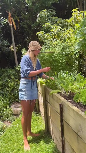 You were never meant to spend your life chasing protocols, supplements, diagnoses, and opinions that shift with the wind. You were designed to heal and somewhere along the way, the world convinced you to forget that. Most people arrive here after years of searching, doctor to doctor, protocol to protocol, doing everything “right” and still feeling unwell. Not because they are broken, but because they’ve been taught to outsource their biology to systems that were never built to understand it. Wha