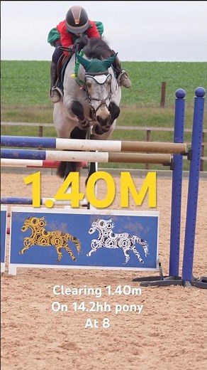 Clearing 1.40m on Sunny friends pony #horse #showjumping #equestrian #horsefan #horselover #pony