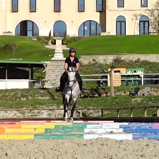 4.5K views | Découvrez 15 Exercices BARRES AU SOL ⤵ sio.terredesportequestre.com/exercices-barres-au-sol | Terre de Sport Equestre | Facebook